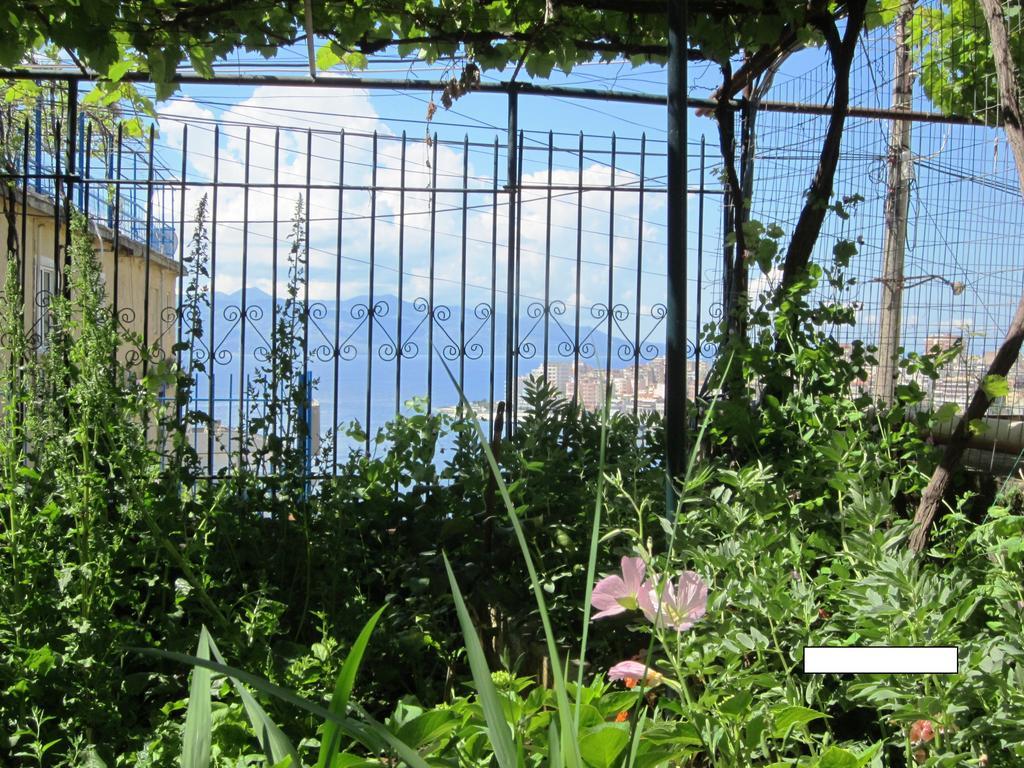 Guest House And Tavern Leo Sarande Exterior photo